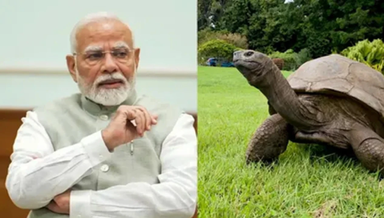 PM Narendra Modi to Meet Jonathan, World’s Oldest Living Land Animal, During Seychelles State Visit