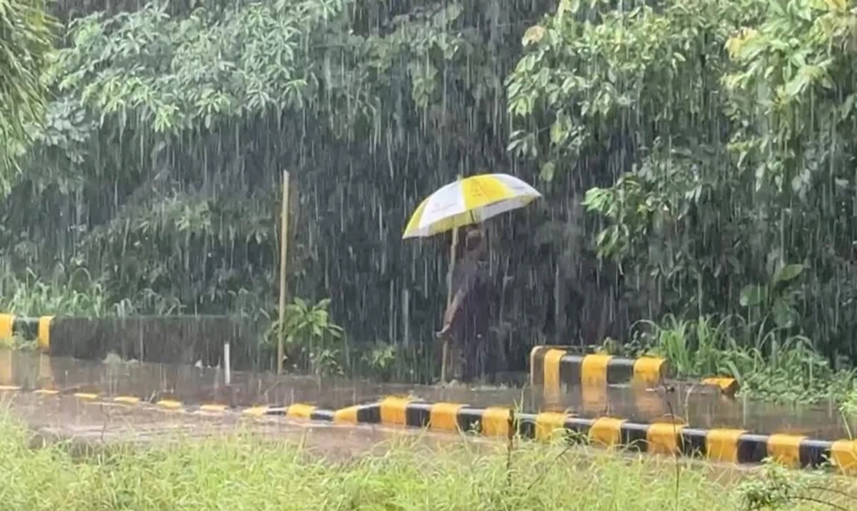 Mangaluru Rain Fury: Red Alert Issued in Dakshina Kannada, Schools Closed as Mulki Records Highest Rainfall