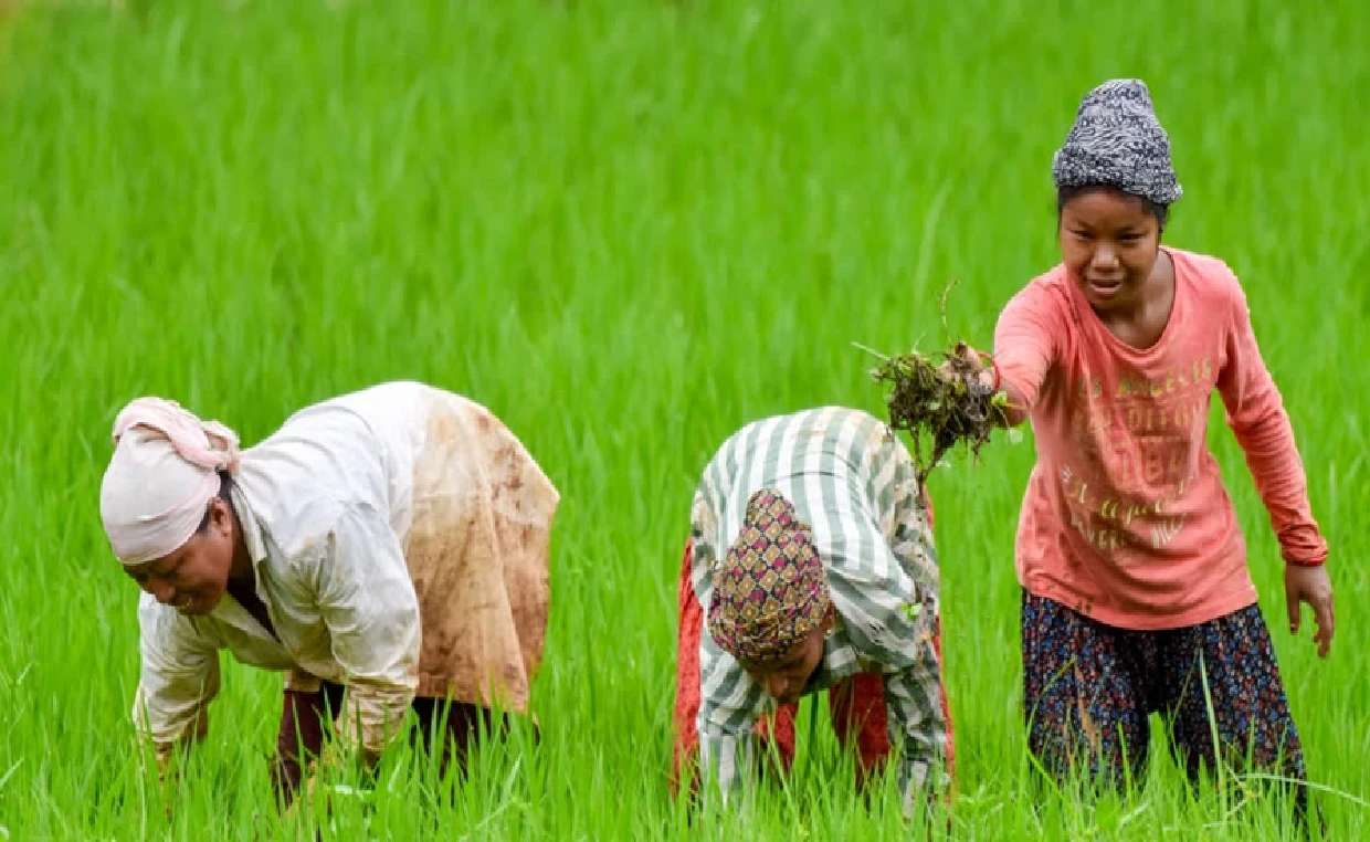 Maharashtra Passes Landmark Women Farmers Empowerment Bill 2026 to Grant Legal Identity and Scheme Benefits
