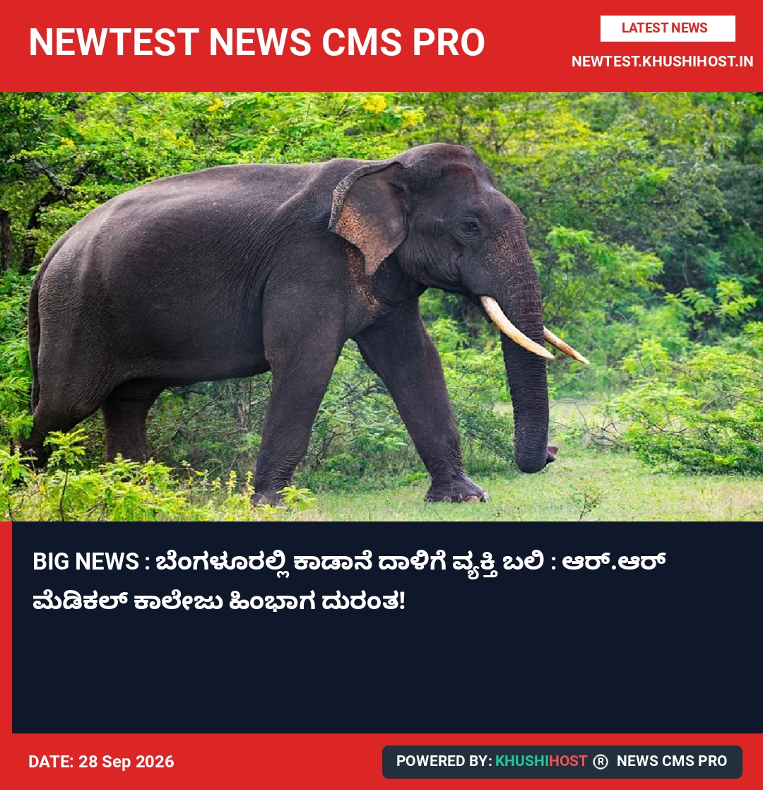 BIG NEWS : ಬೆಂಗಳೂರಲ್ಲಿ ಕಾಡಾನೆ ದಾಳಿಗೆ ವ್ಯಕ್ತಿ ಬಲಿ : ಆರ್‌.ಆರ್‌ ಮೆಡಿಕಲ್ ಕಾಲೇಜು ಹಿಂಭಾಗ ದುರಂತ!